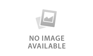 Nvidia RTX Graphics Cards