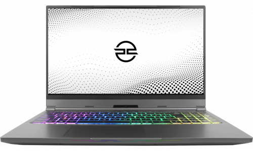 Vyper Gaming Laptop