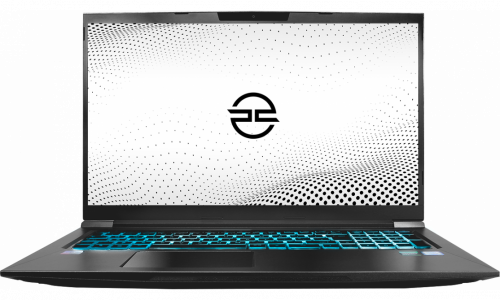 Elimina Pro Gaming Laptop